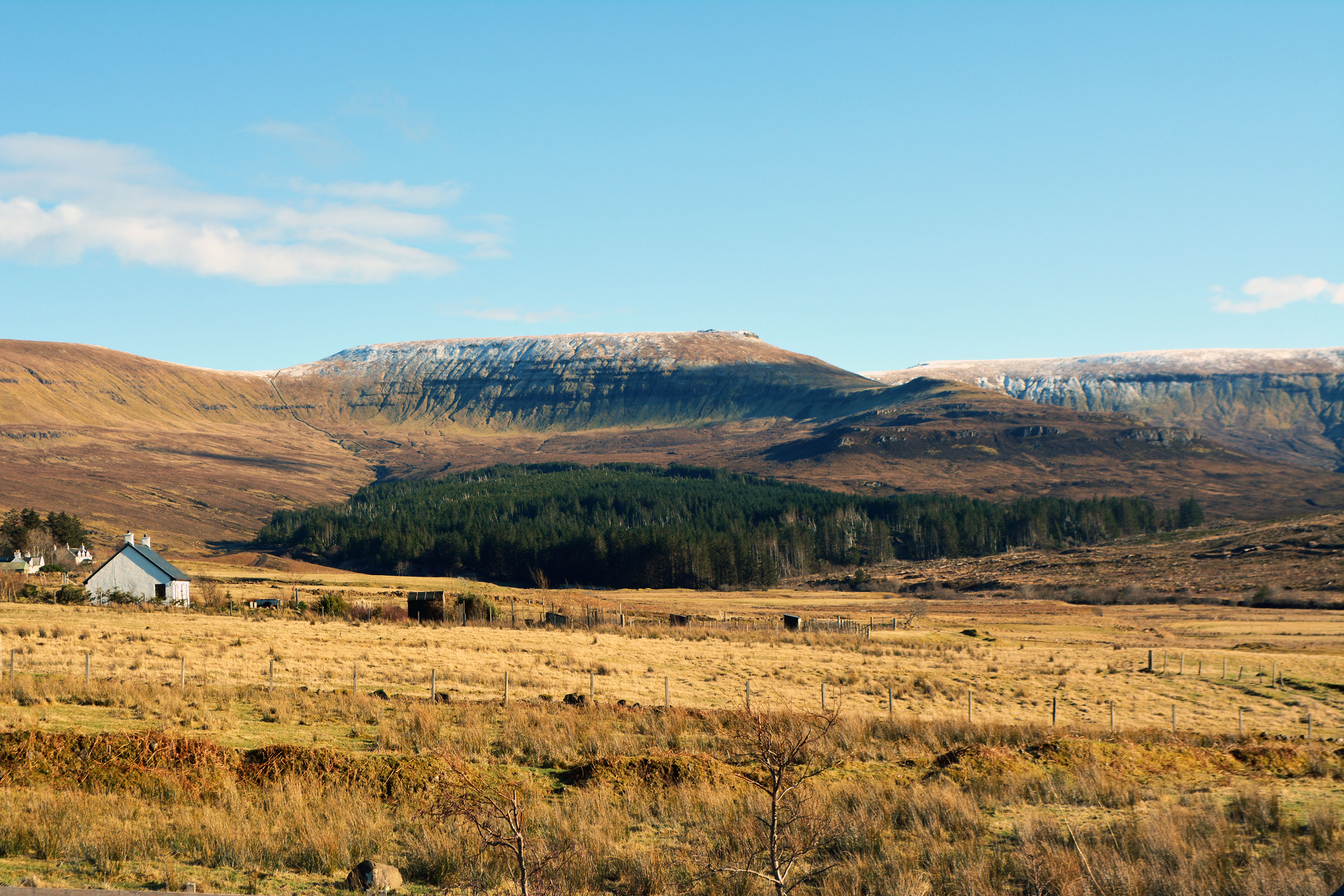 Taransay House offers great food and drink including seafood in our spacious open plan restaurant